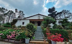 Deodar Homestay